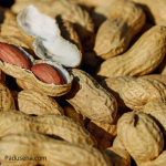 Bolehkah Penderita Batu Empedu Makan Kacang Tanah?